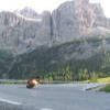 Motorcycle Road ss243--passo-di- photo