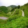 Motorcycle Road monte-zoncolan--sp123- photo
