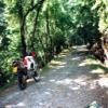 Motorcycle Road sp1--passo-del- photo
