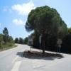 Motorcycle Road n379--cotovia-- photo